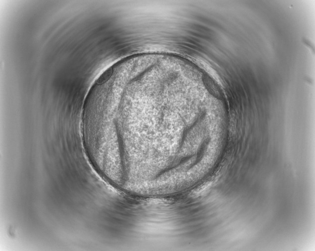 X0000093170847200710241038