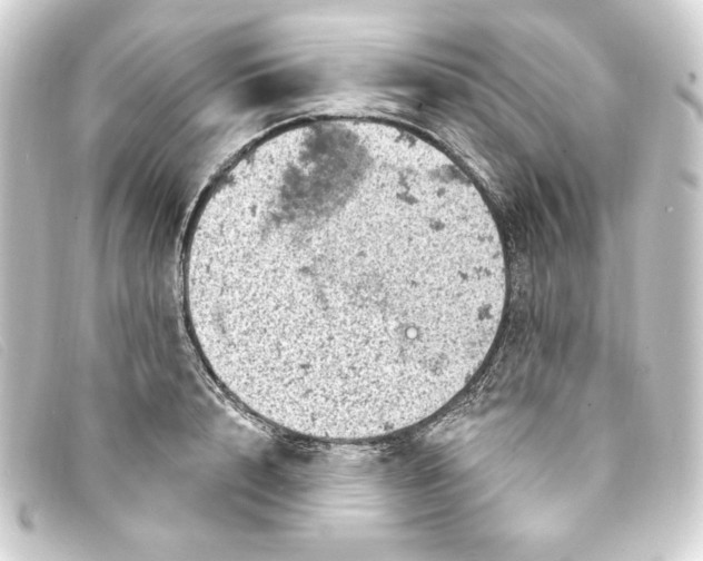 X0000093170848200710241038