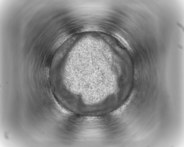 X0000093170849200710241038