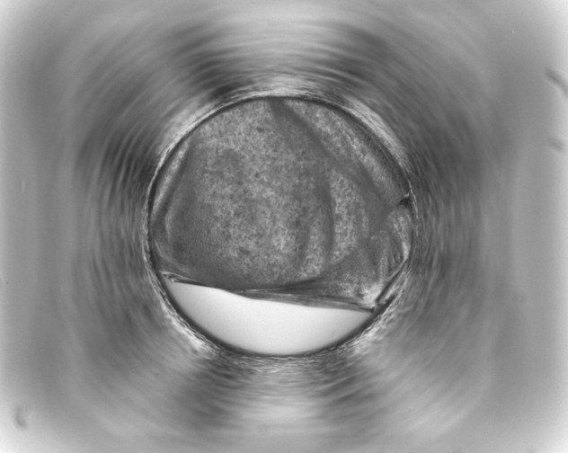 X0000093170850200710241038