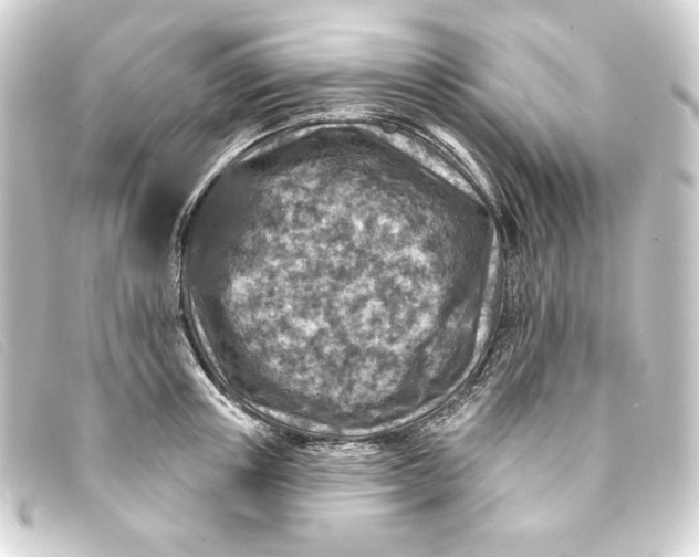 X0000093170851200710241038