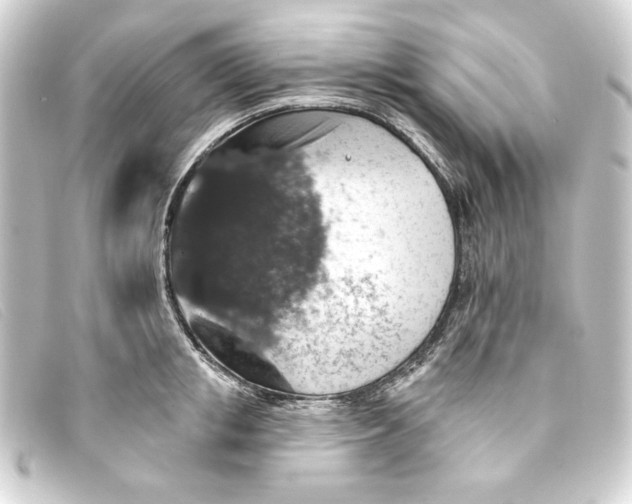 X0000093170853200710241038