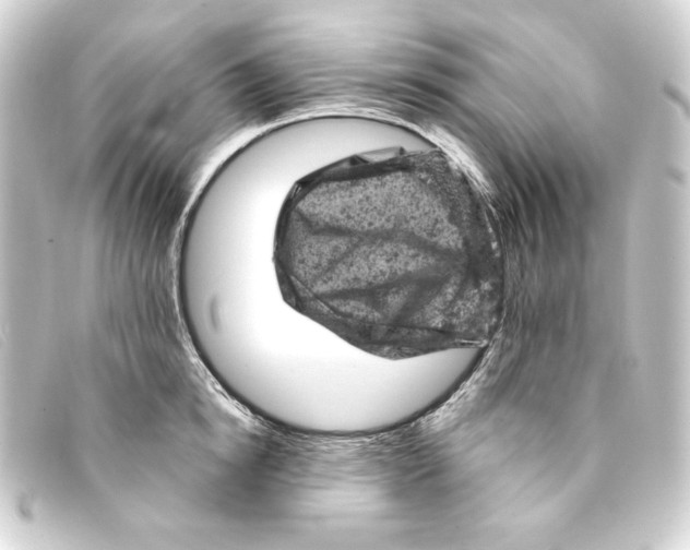 X0000093170854200710241038