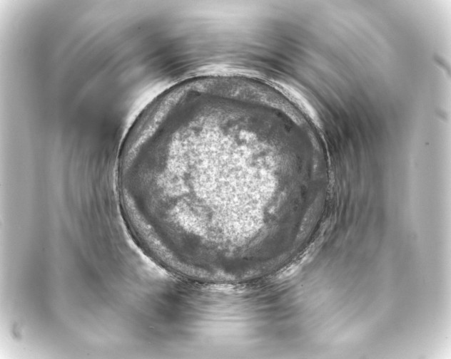 X0000093170855200710241038