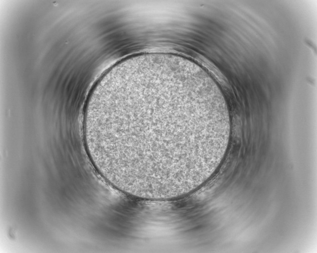 X0000093170856200710241038