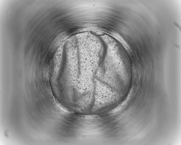 X0000093170857200710241038