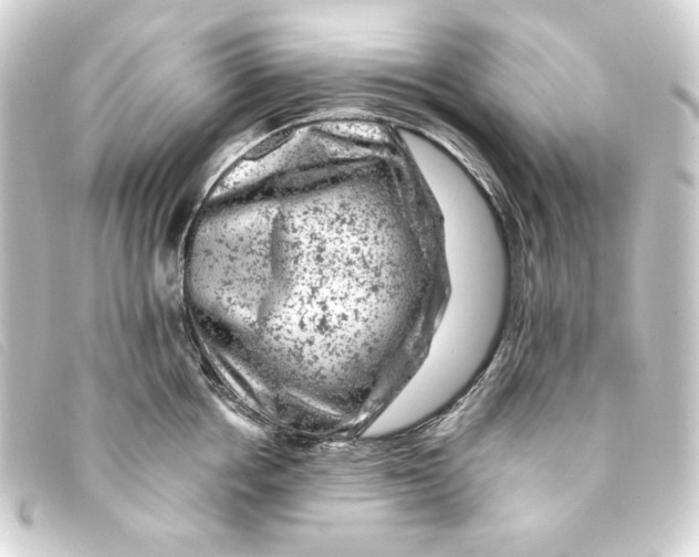 X0000093170858200710241038