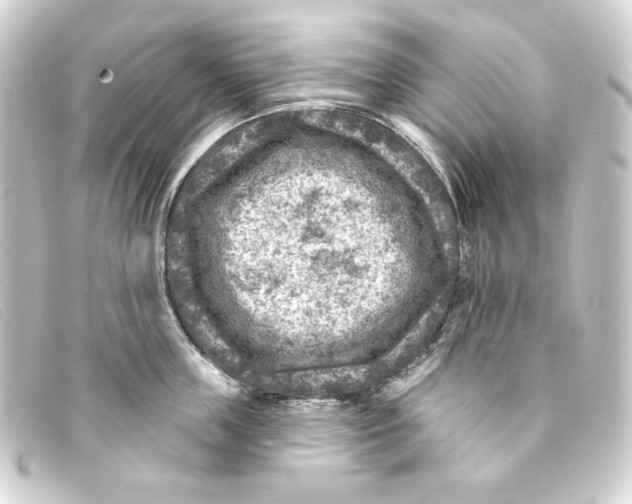 X0000093170859200710241038