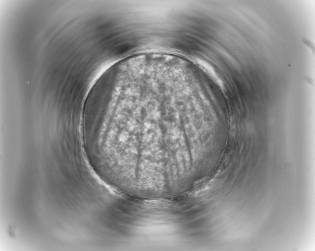 X0000093170863200710241038