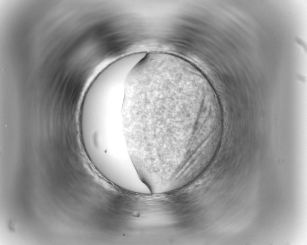 X0000093170864200710241038