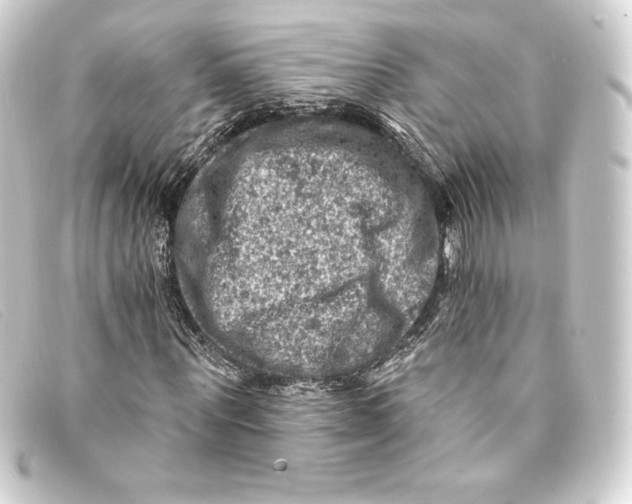 X0000093170867200710241038