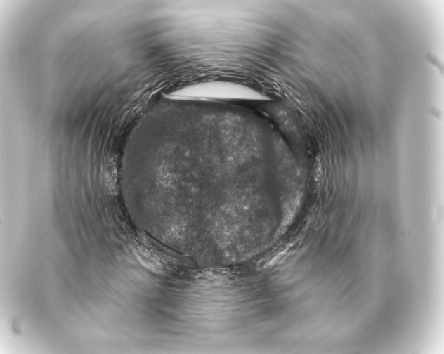 X0000093170868200710241038