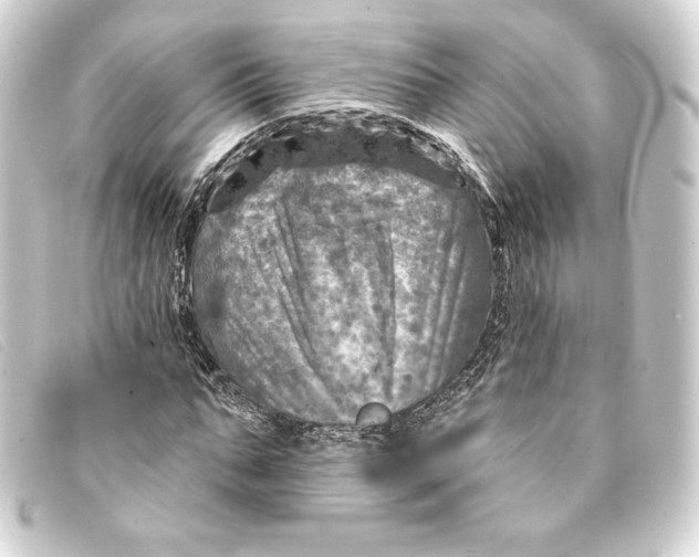 X0000093170871200710241038