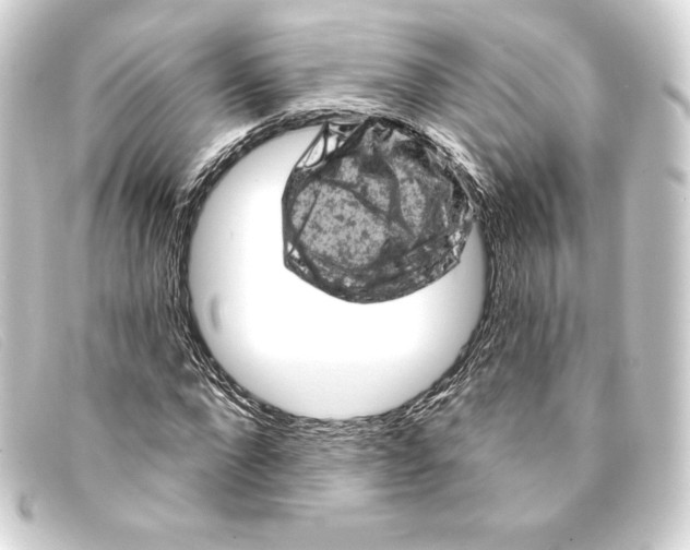 X0000093170872200710241038