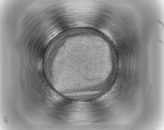 X0000093170873200710241038