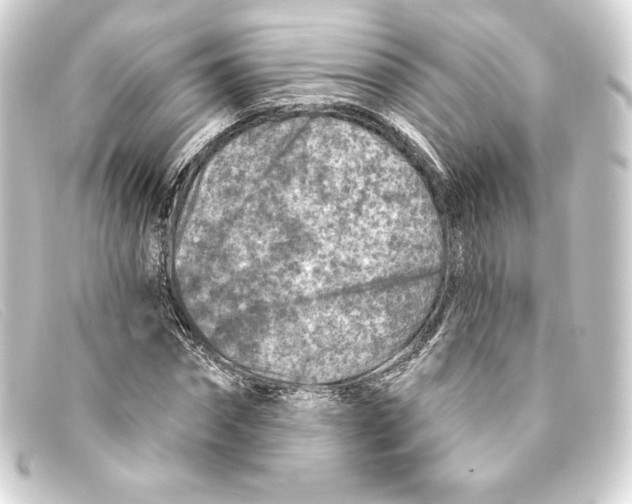 X0000093170874200710241037