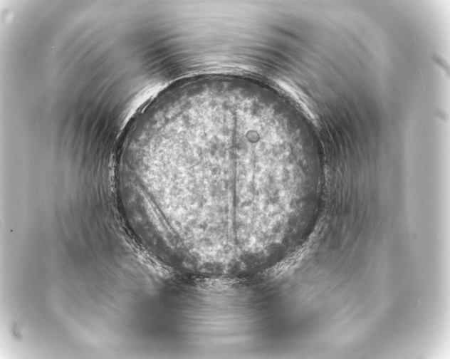 X0000093170875200710241037