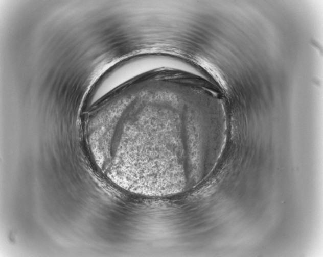 X0000093170876200710241037