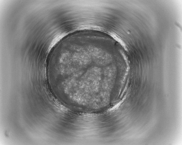 X0000093170877200710241037