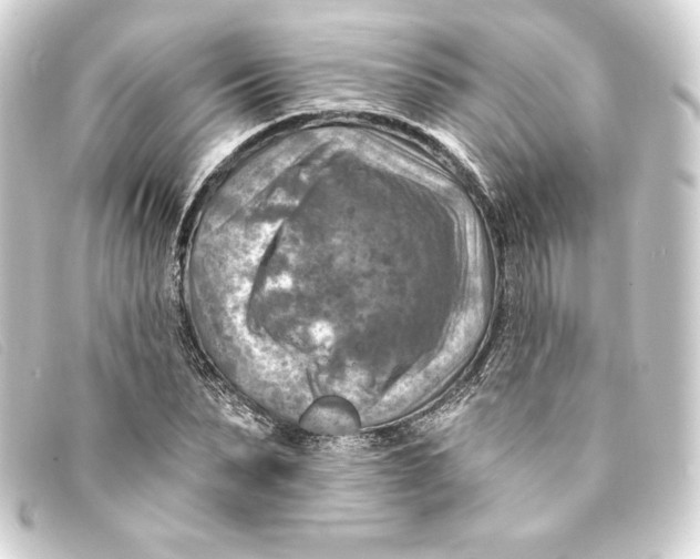 X0000093170879200710241037