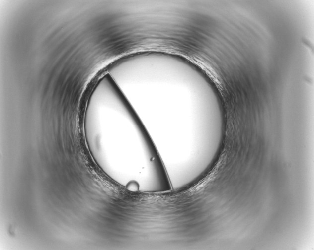 X0000093170880200710241037