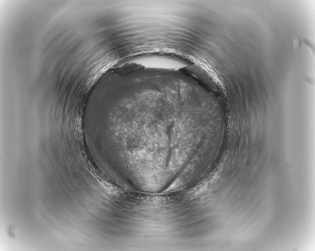 X0000093170881200710241037