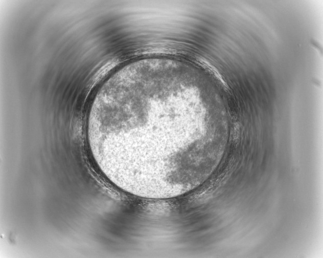 X0000093170882200710241037