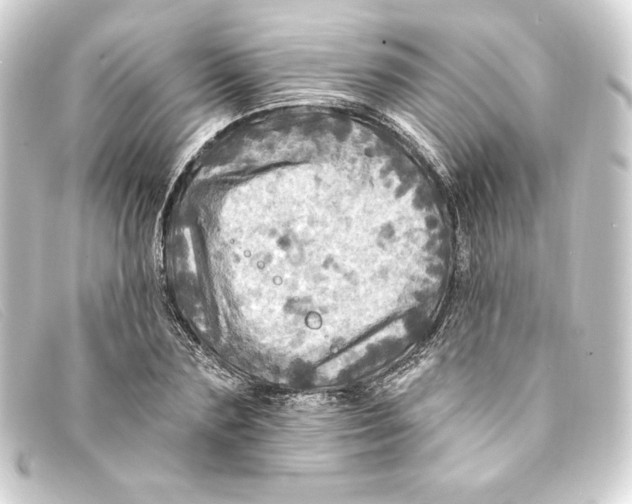 X0000093170883200710241037