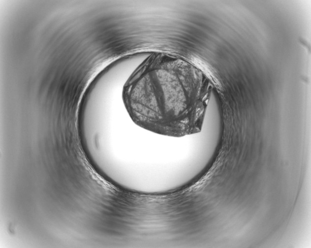 X0000093170884200710241037