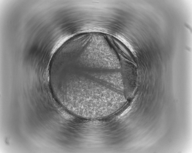 X0000093170885200710241037