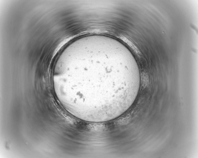 X0000093170886200710241037