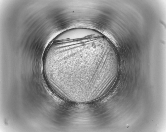 X0000093170888200710241037