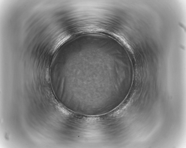 X0000093170889200710241037