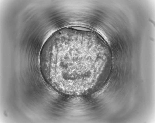 X0000093170891200710241037