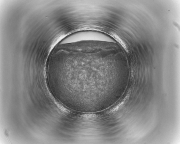 X0000093170893200710241037