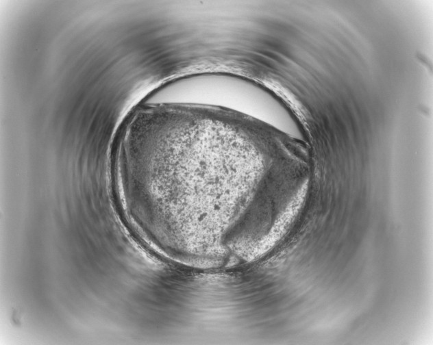 X0000093170894200710241037