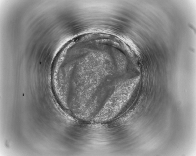 X0000093170896200710241037