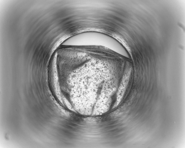 X0000093170898200710241037