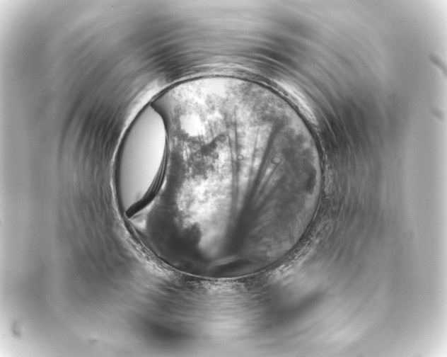 X0000093170899200710241037