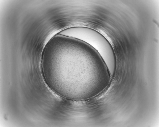 X0000093170901200710241037