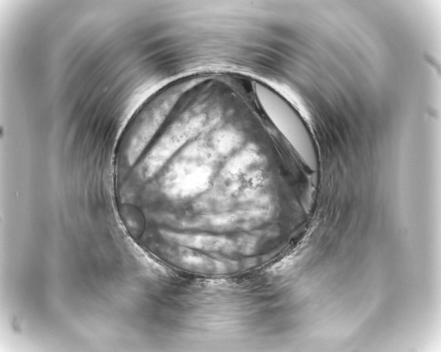 X0000093170903200710241037