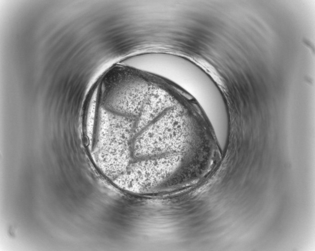 X0000093170904200710241037