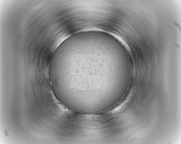 X0000093170905200710241037