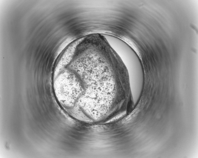 X0000093170906200710241037