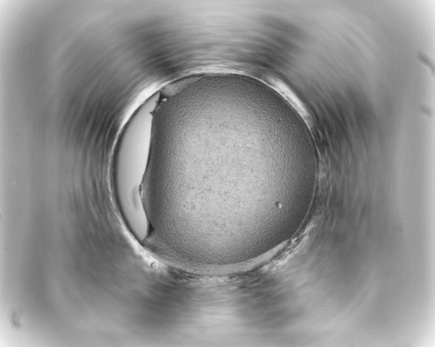 X0000093170909200710241037