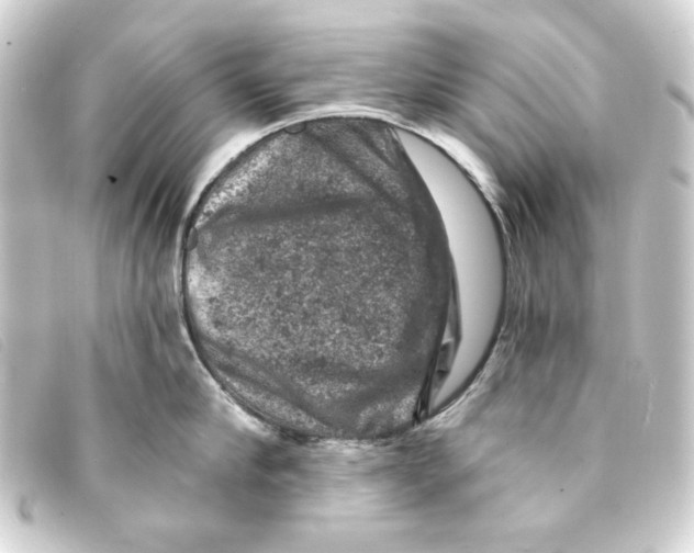 X0000093170910200710241037