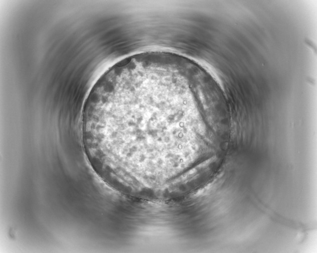 X0000093170911200710241037