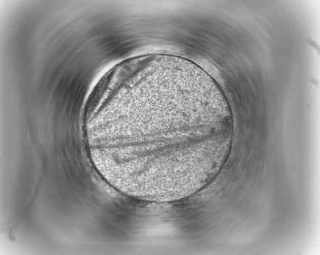 X0000093170912200710241037