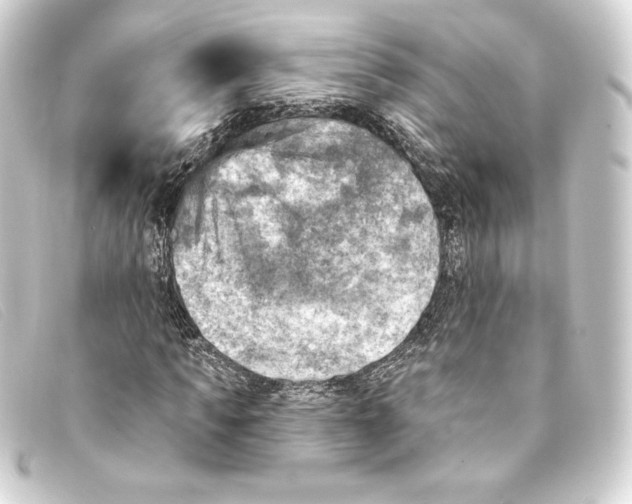 X0000093170917200710241037