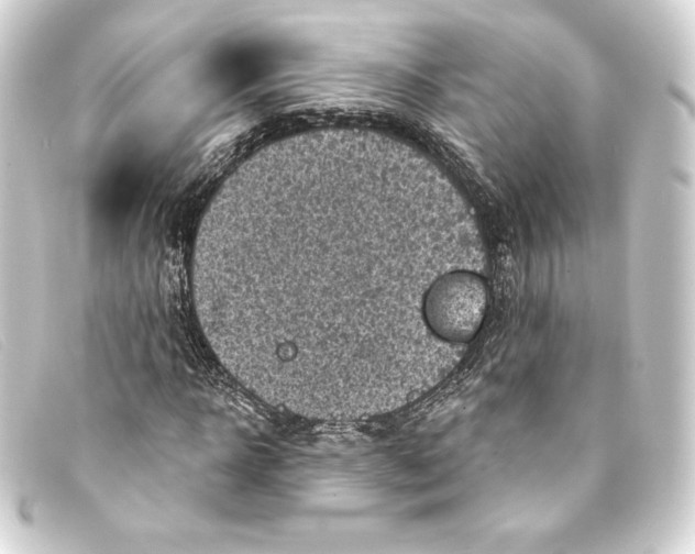 X0000093170918200710241037